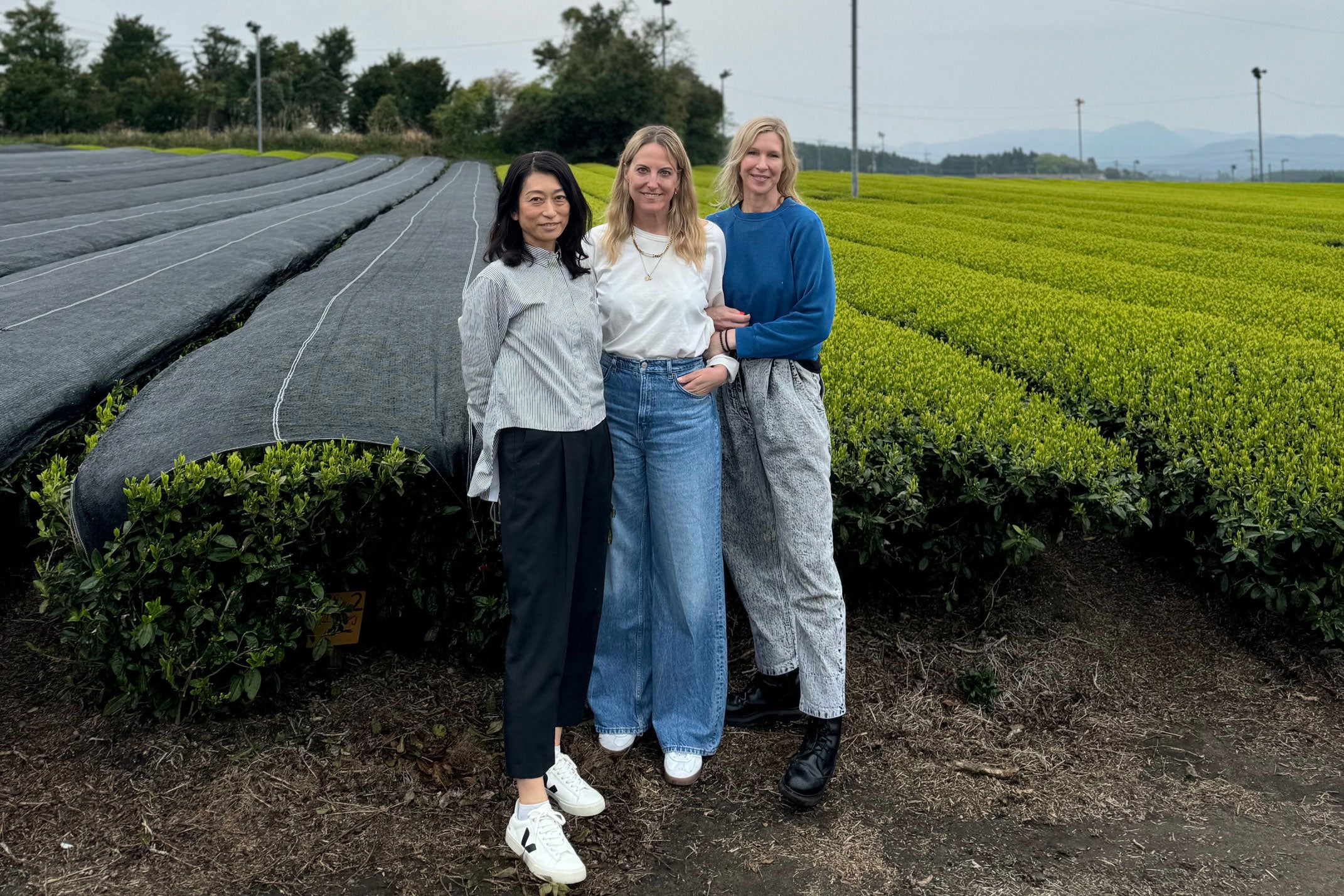 In search of the best Matcha