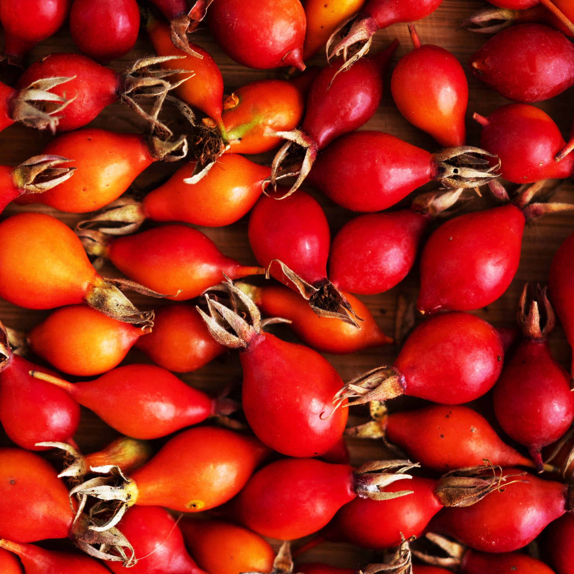 Organic rosehip | Bio Hagebutte